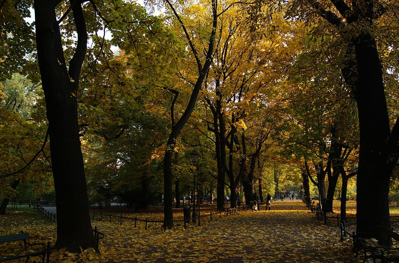 The leafy Planty park ringing Kraków's Old Town