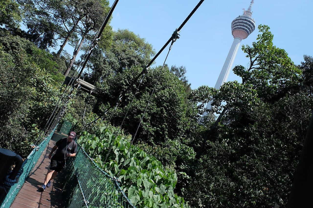 Canopy walkway in the KL Forest Eco Park, Kuala Lumpur
