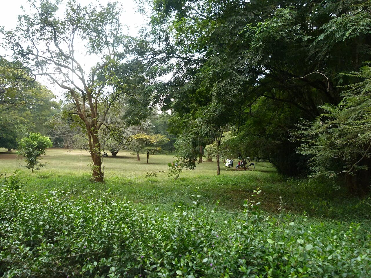 Nairobi Arboretum