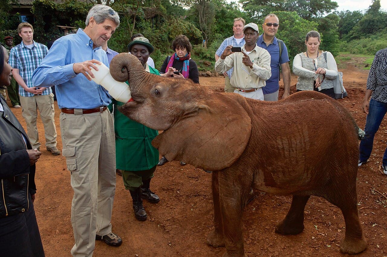 Sheldrick Elephant Orphanage, Nairobi