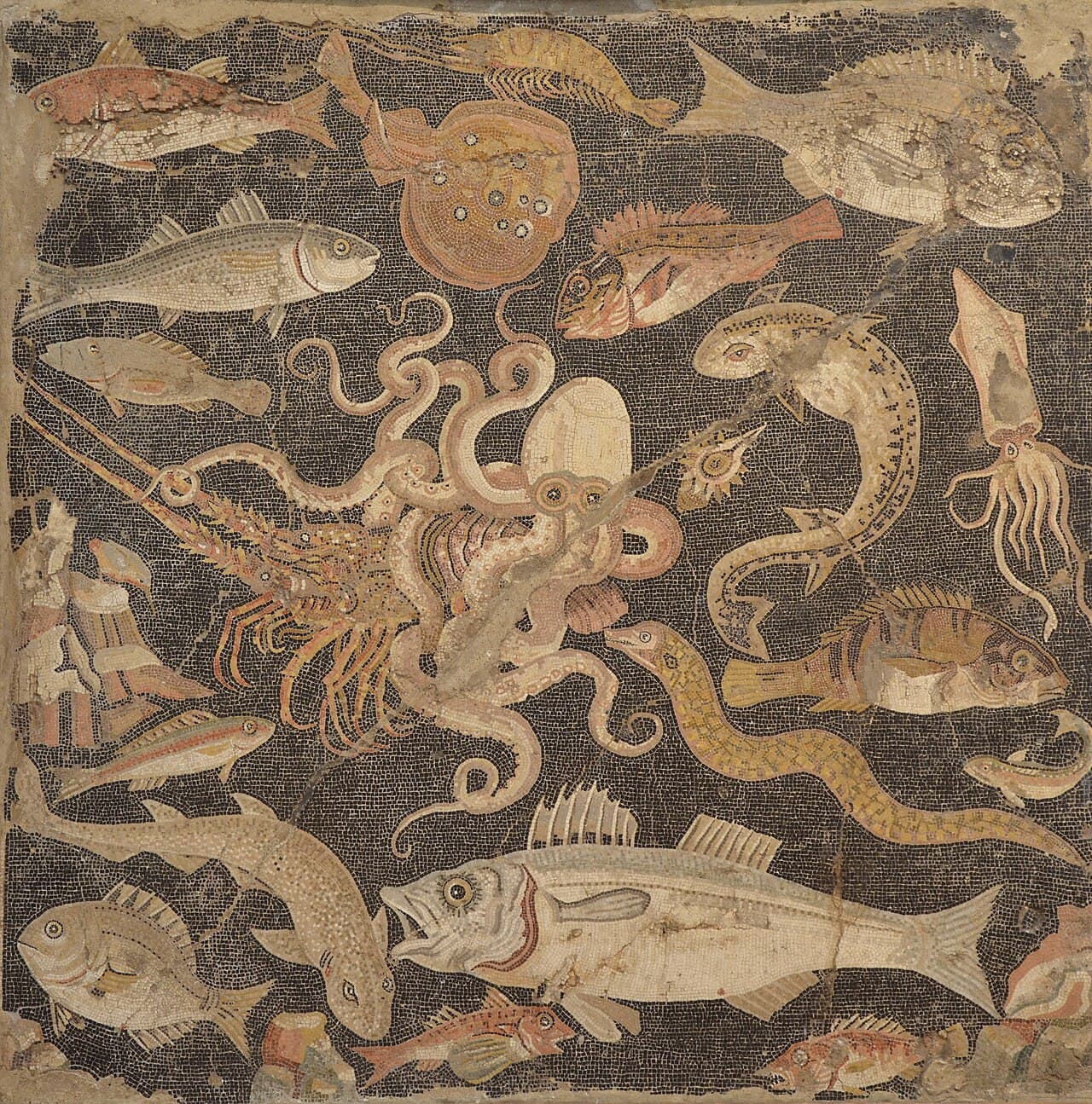 The National Archaeological Museum, Naples