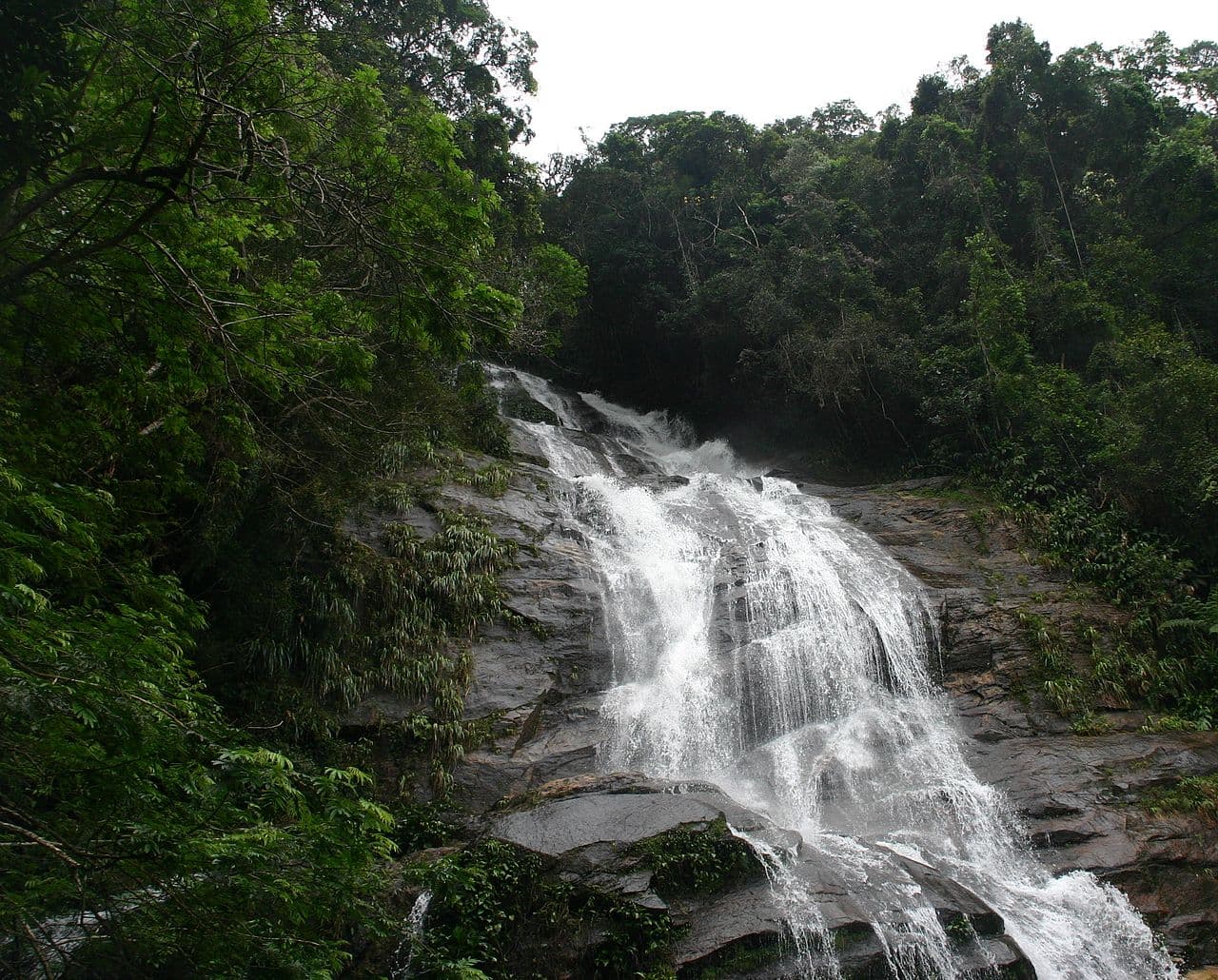 Tijuca Forest, Rio de Janeiro