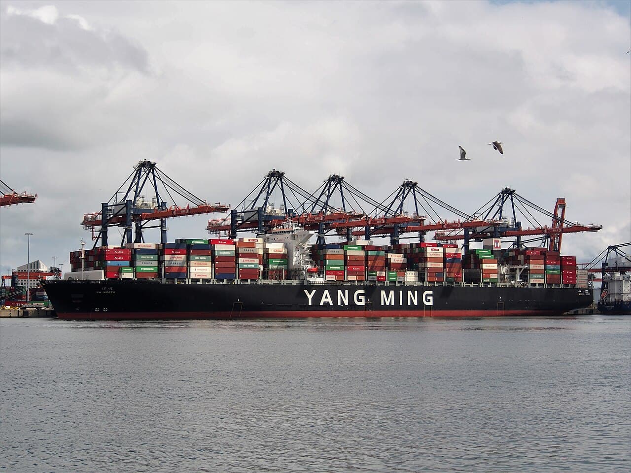 A harbour tour boat in the port of Rotterdam