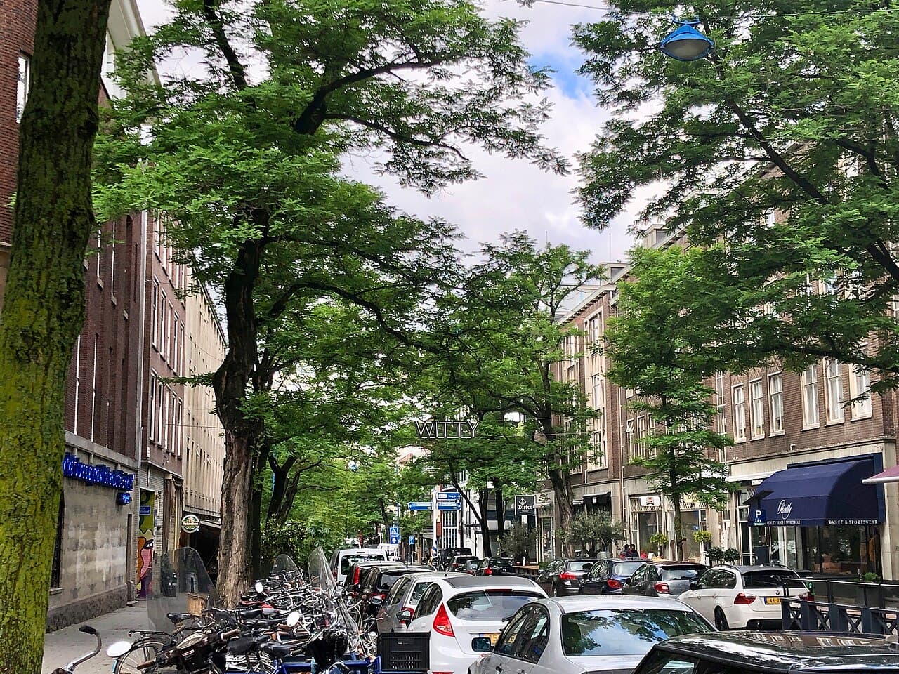 The bar-lined Witte de Withstraat, Rotterdam