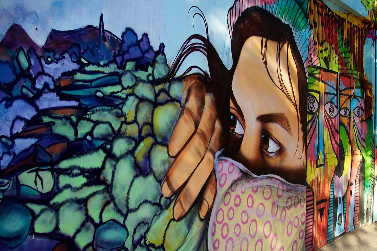 Bellavista street art, Santiago