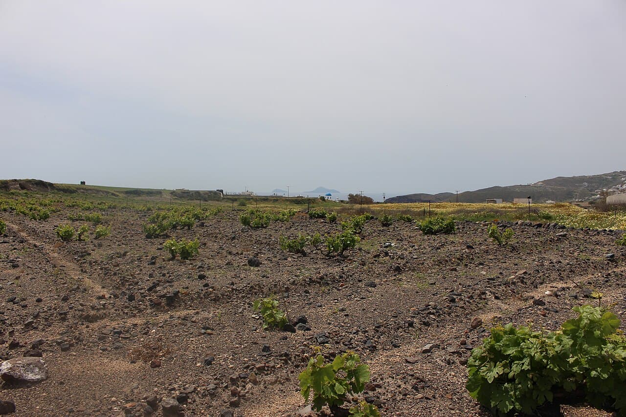 A Santorini winery with caldera view