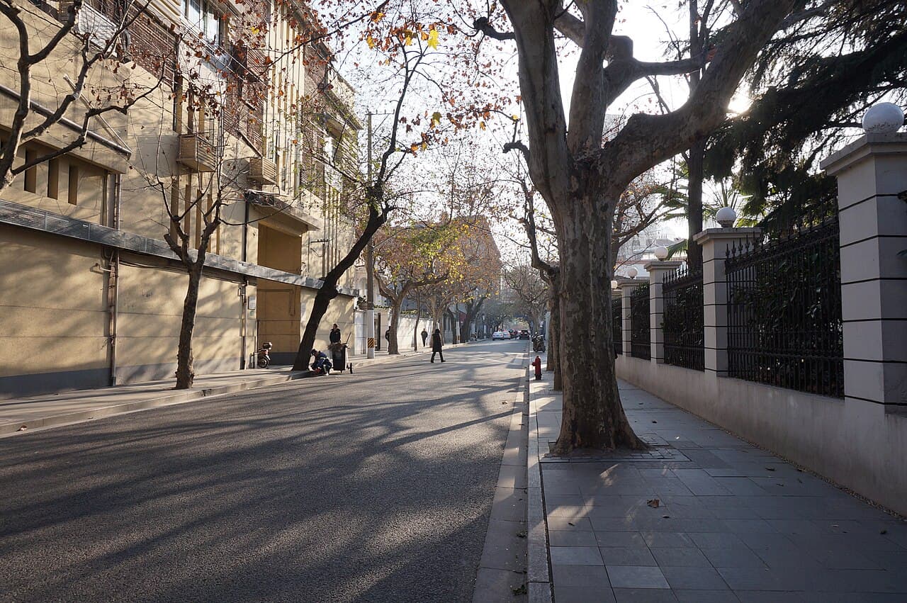 A plane-lined street in the French Concession, Shanghai