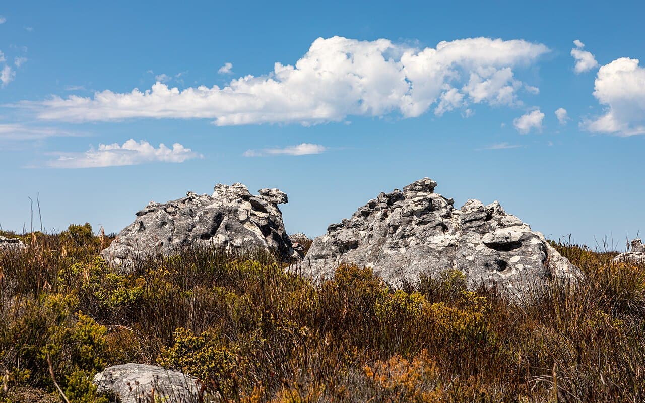 Cape Town — The Mother City — Table Mountain, beaches and winelands