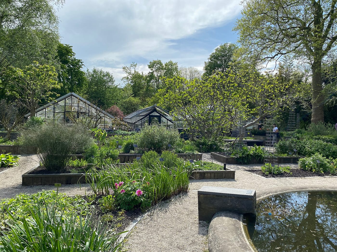 Glasshouses and planting beds in the Hortus Botanicus garden, Amsterdam