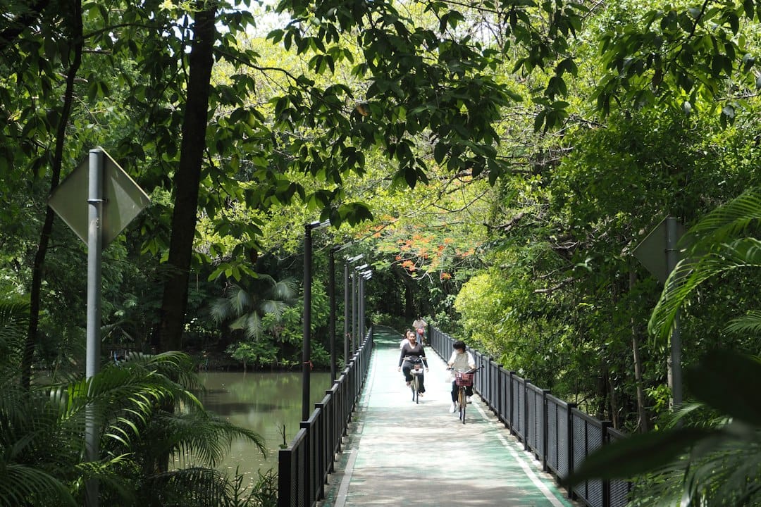 An elevated cycling path through dense green jungle at Bang Krachao, Bangkok