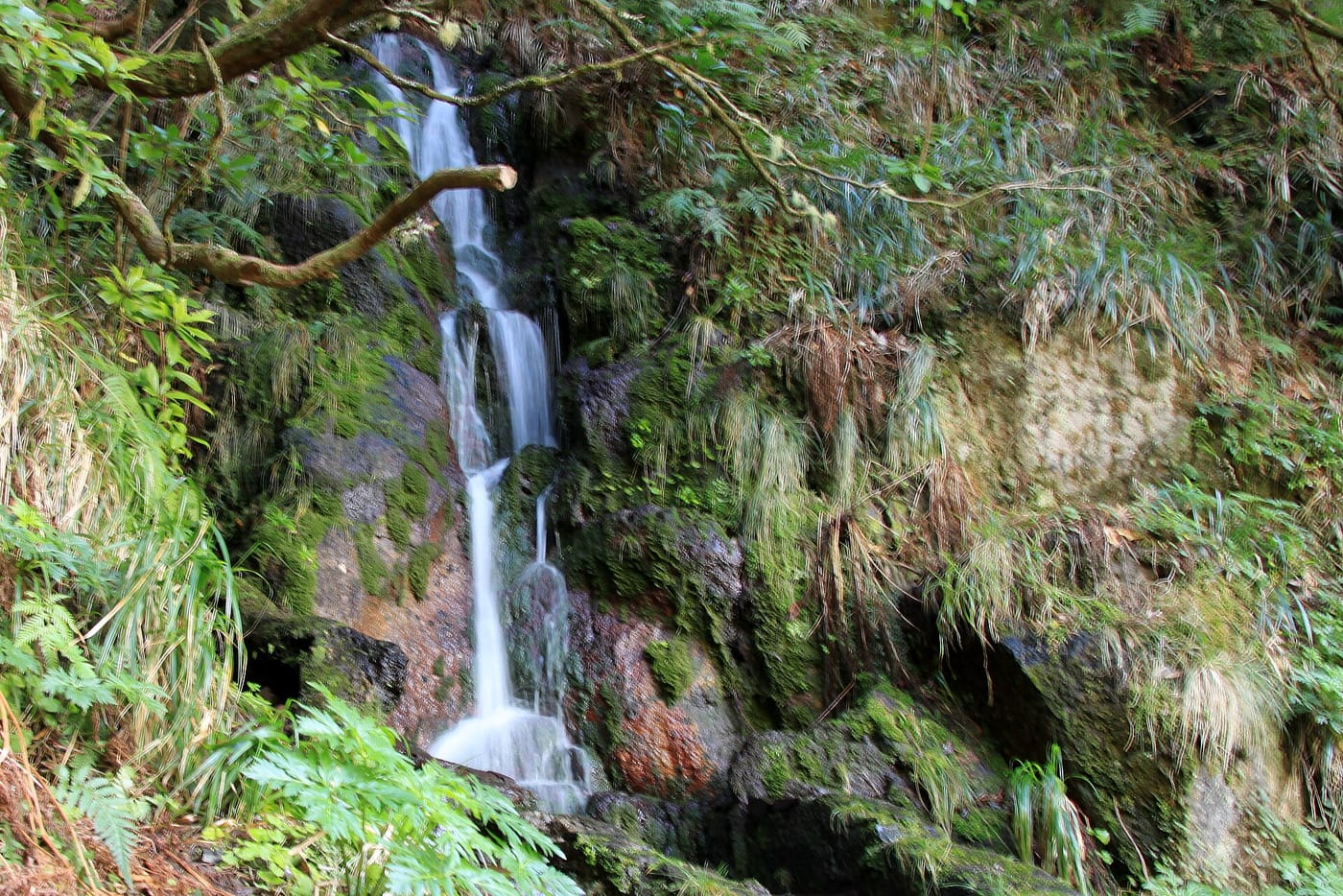 A waterfall on the 25 Fontes levada walk in the Madeira highlands