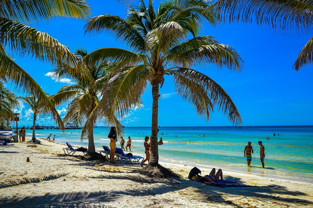 A palm-lined turquoise beach at Playas del Este near Havana