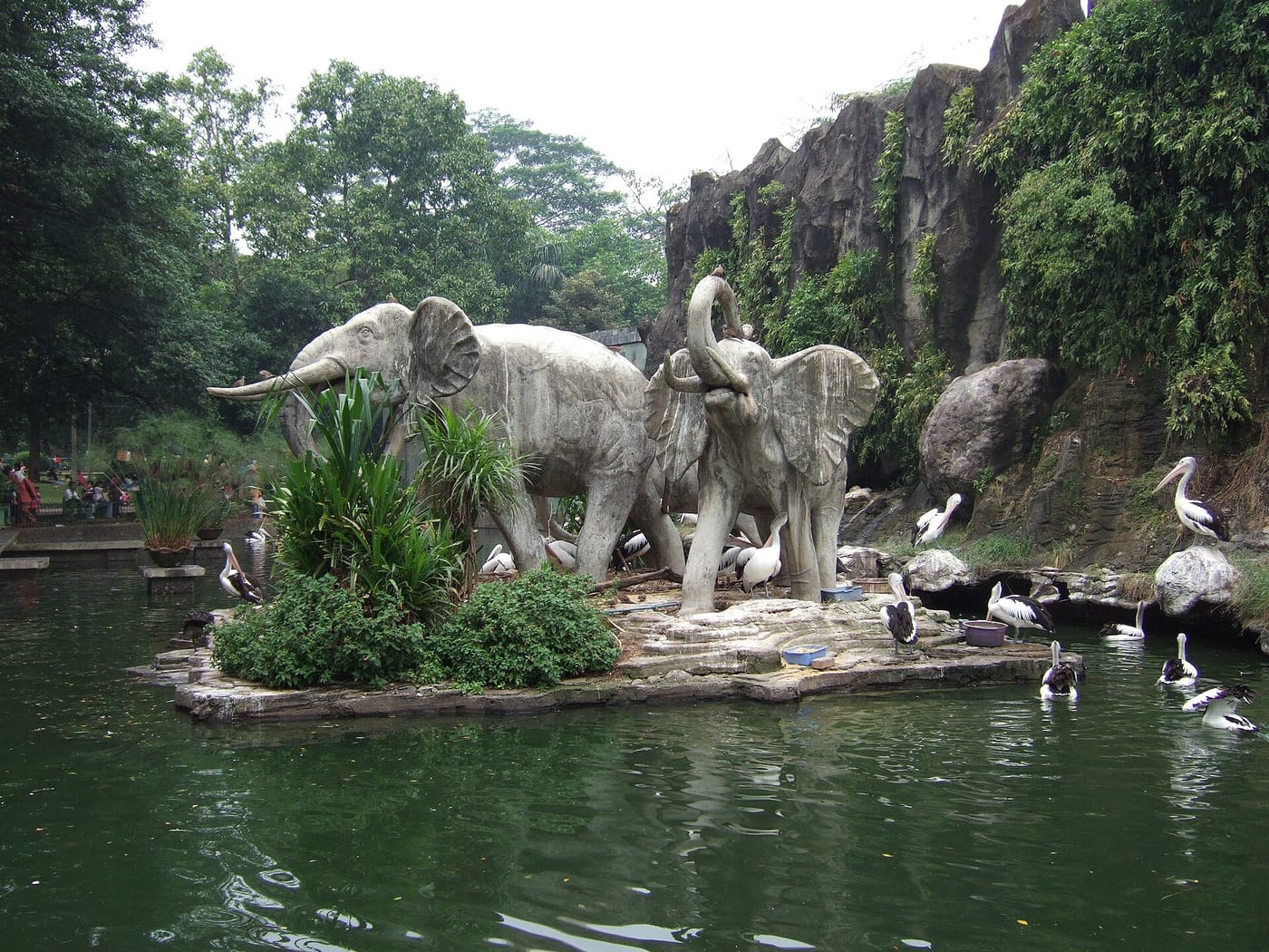 Elephants and pelicans at Ragunan Zoo in Jakarta