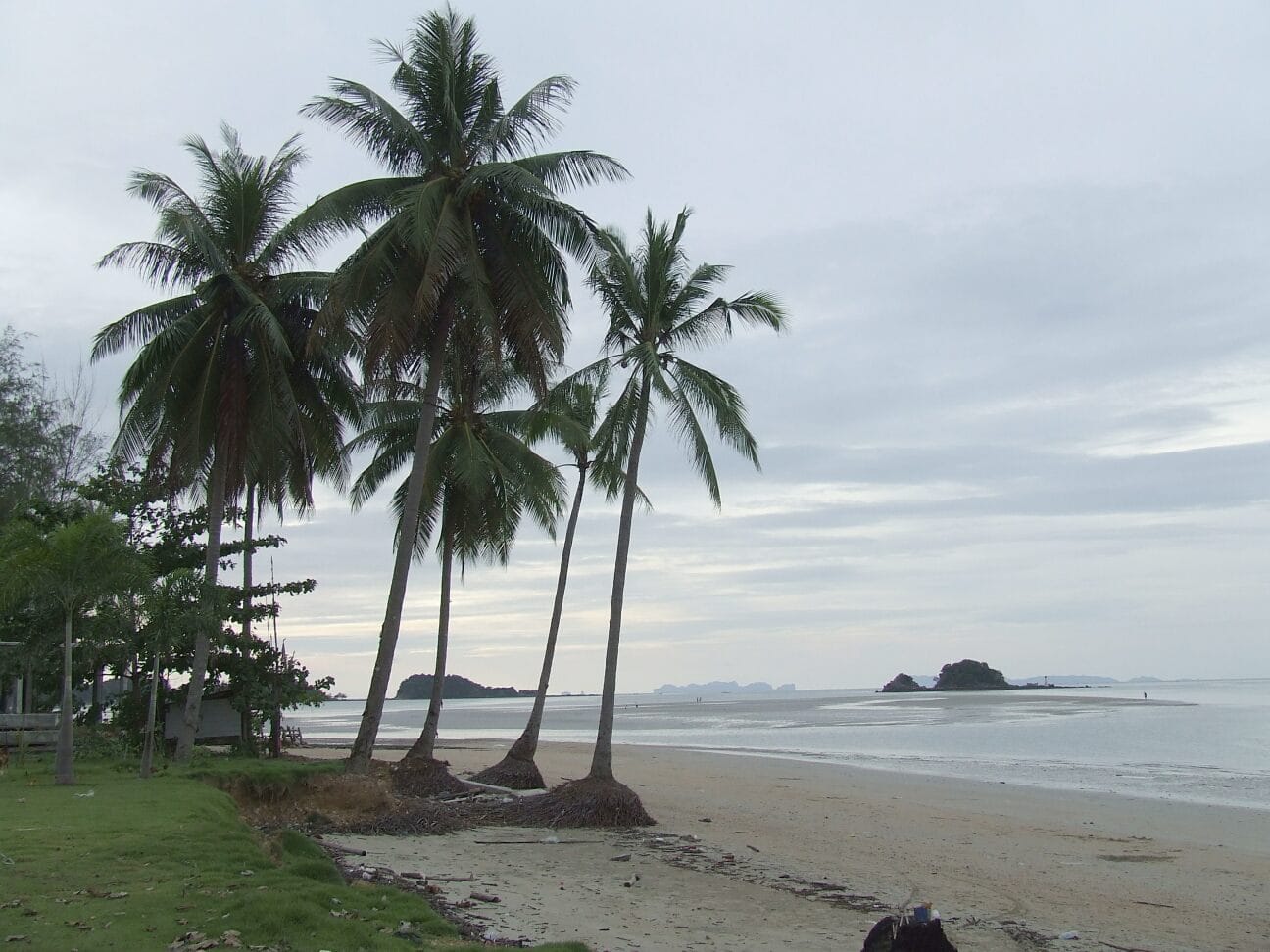 A palm-backed beach on Koh Lanta near Krabi, Thailand