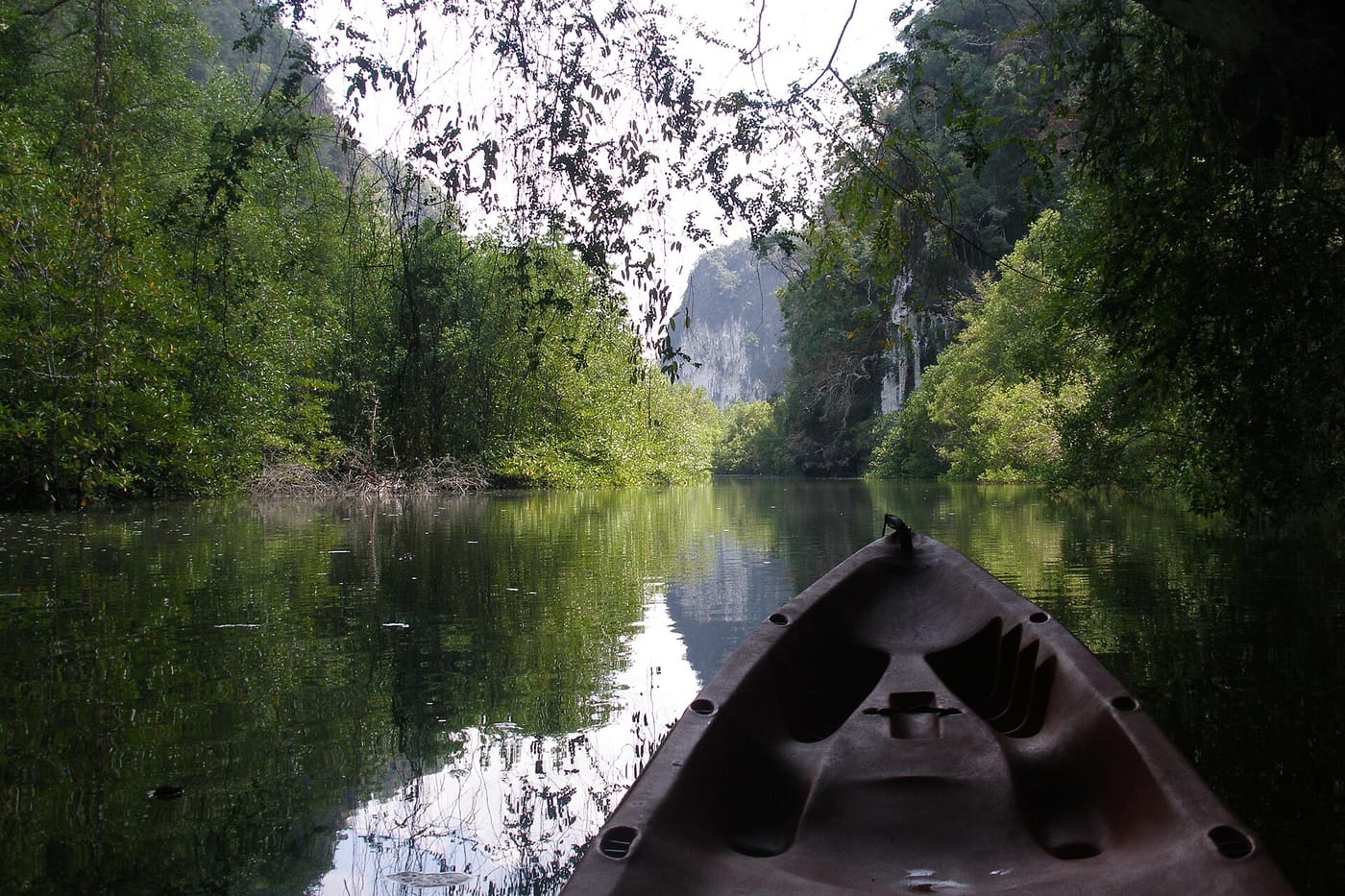 Kayaking the emerald mangrove channels of Than Bok Khorani in Krabi
