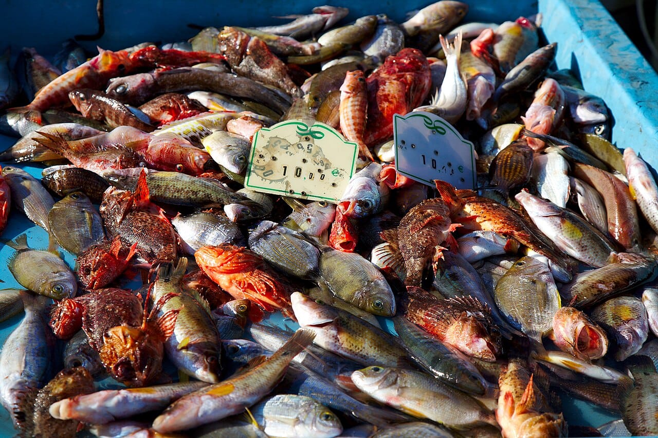 Bouillabaisse, Marseille