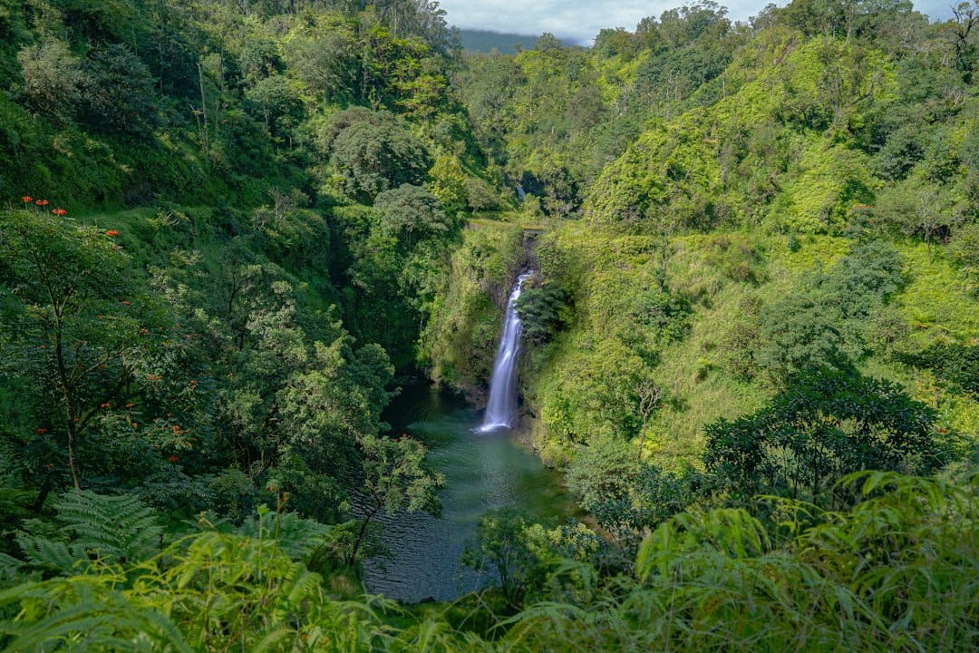 Maui — Hawaii's magical Valley Isle