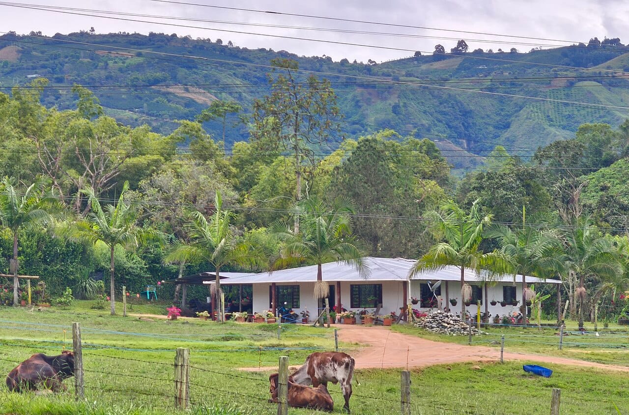 Streets of Laureles & Estadio, Medellín