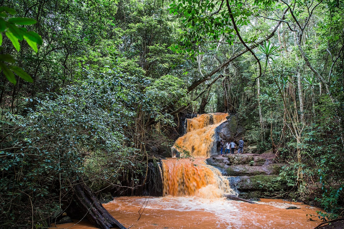 A waterfall in the Karura Forest in Nairobi