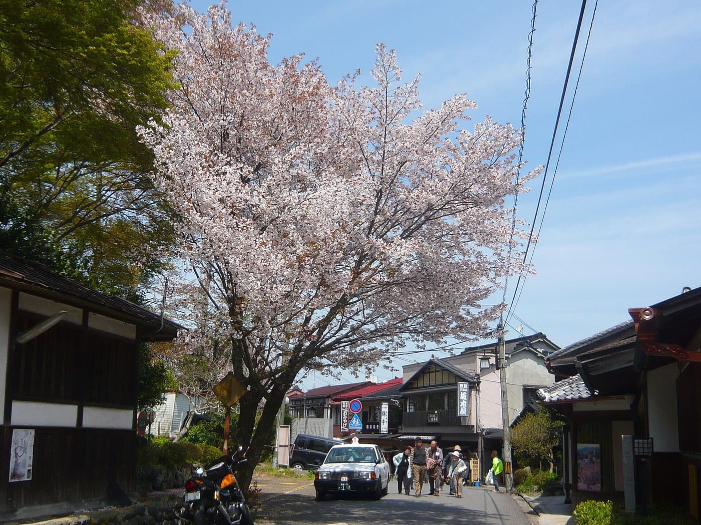 Cherry blossom covering the slopes of Mount Yoshino near Nara