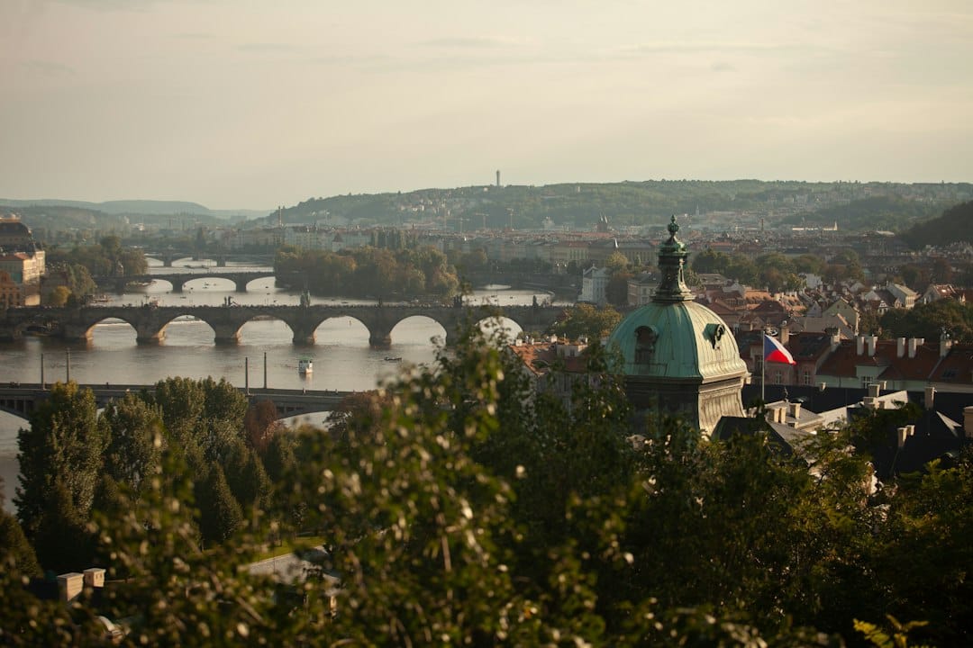 The Vltava river and Prague's bridges seen from Letná Park