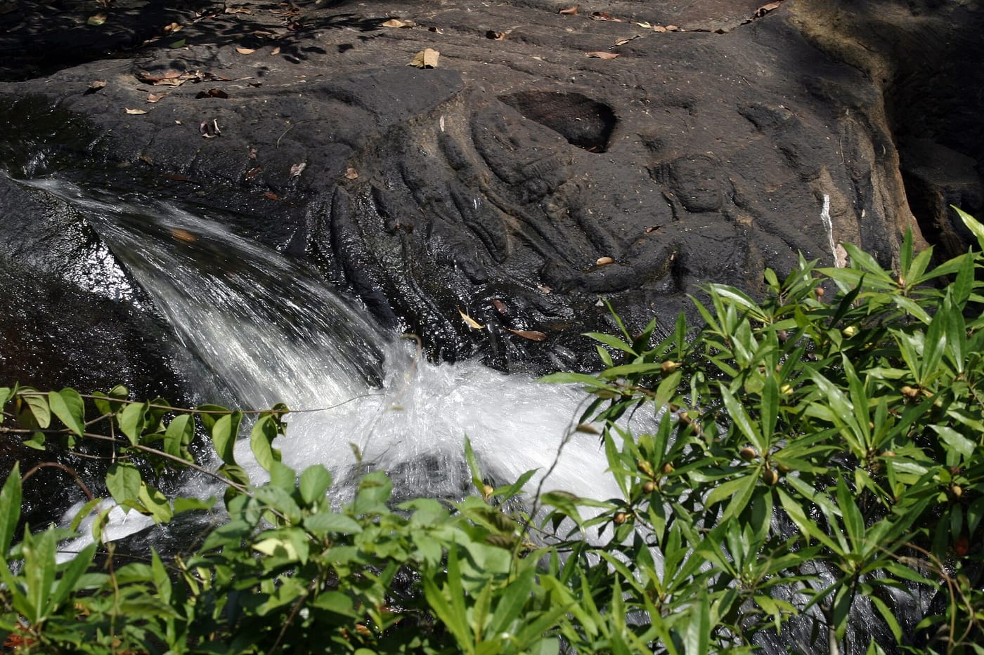 Carvings in the riverbed at Kbal Spean near Siem Reap