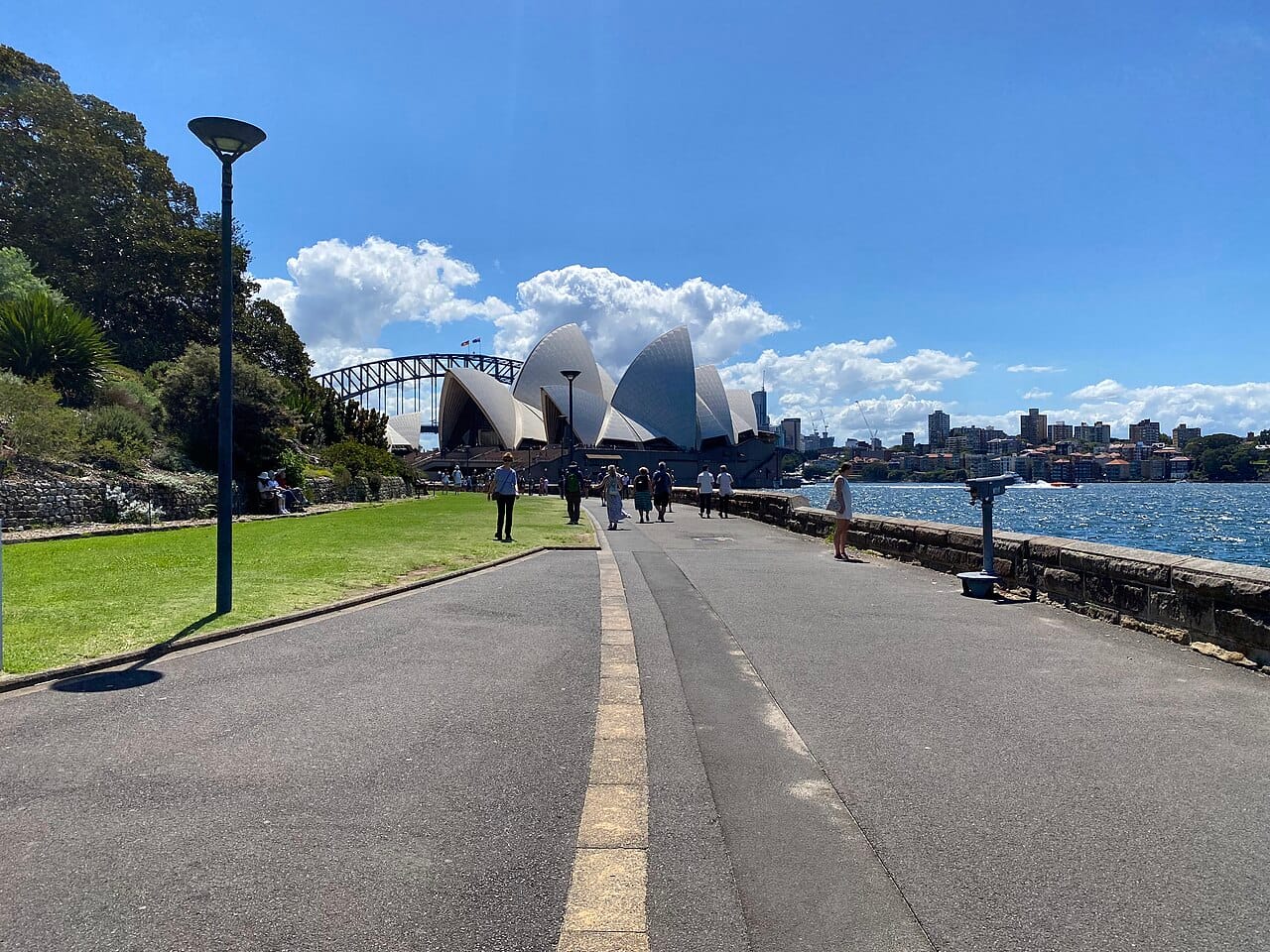 The Royal Botanic Garden and harbour view, Sydney