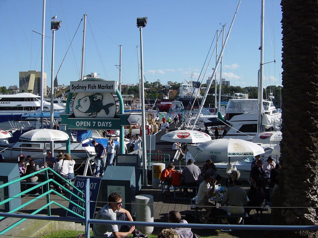 Stalls and boats at the Sydney Fish Market
