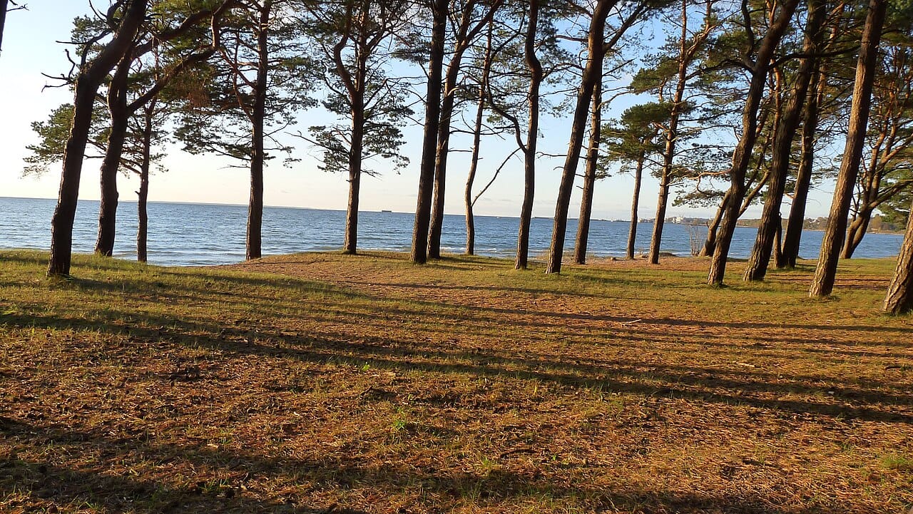 Pirita Beach, Tallinn