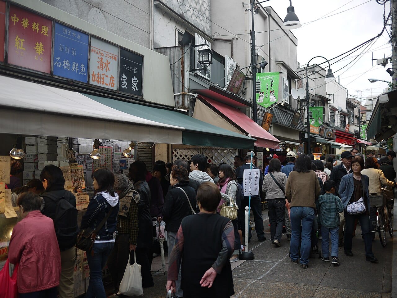 The old-town lanes of Yanaka, Tokyo