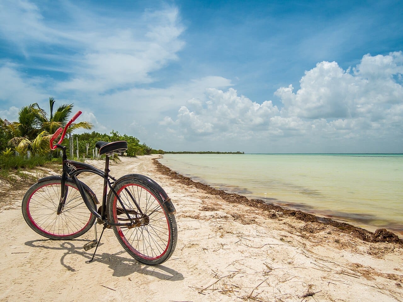 A bicycle on a jungle path in Tulum