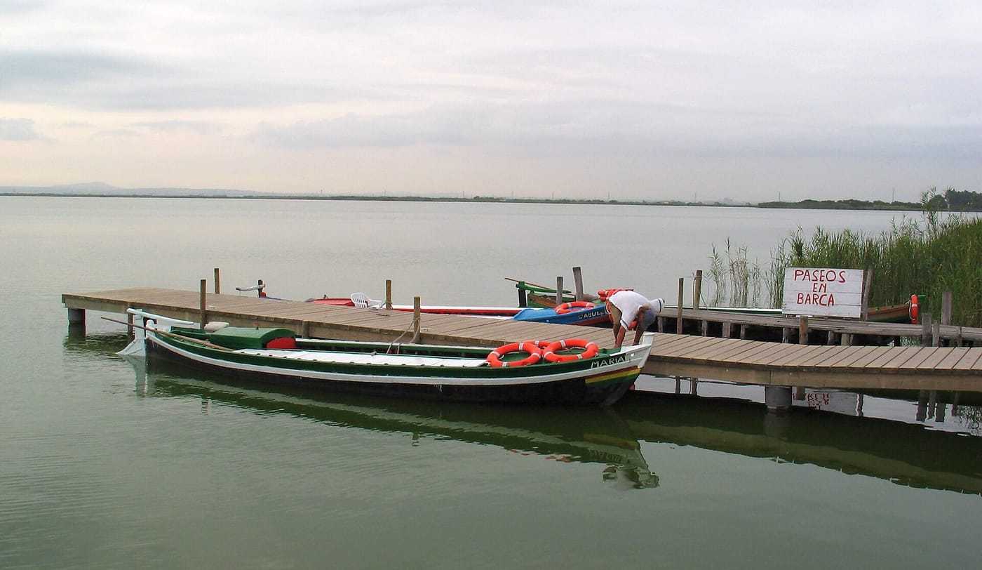 A flat-bottomed boat on the Albufera lagoon near Valencia