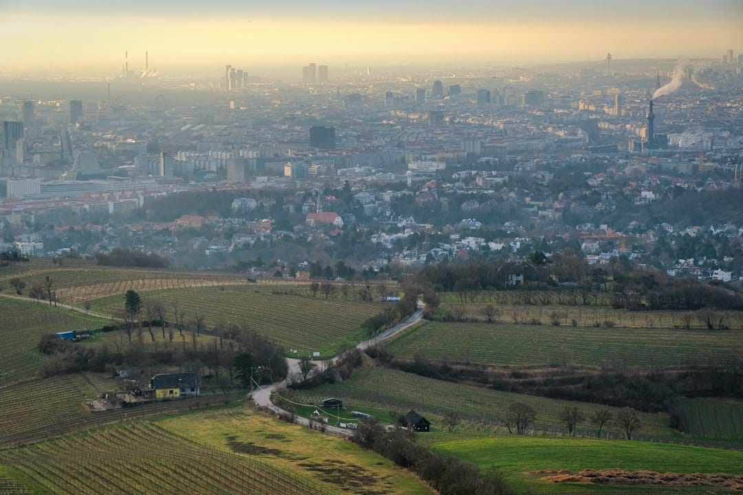 The view over Vienna and its vineyards from the Kahlenberg hill